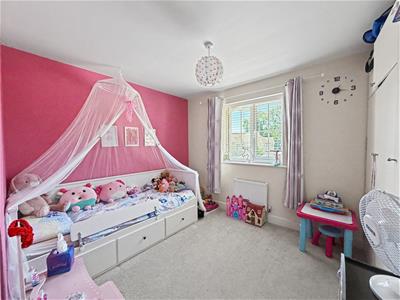 Picture 13